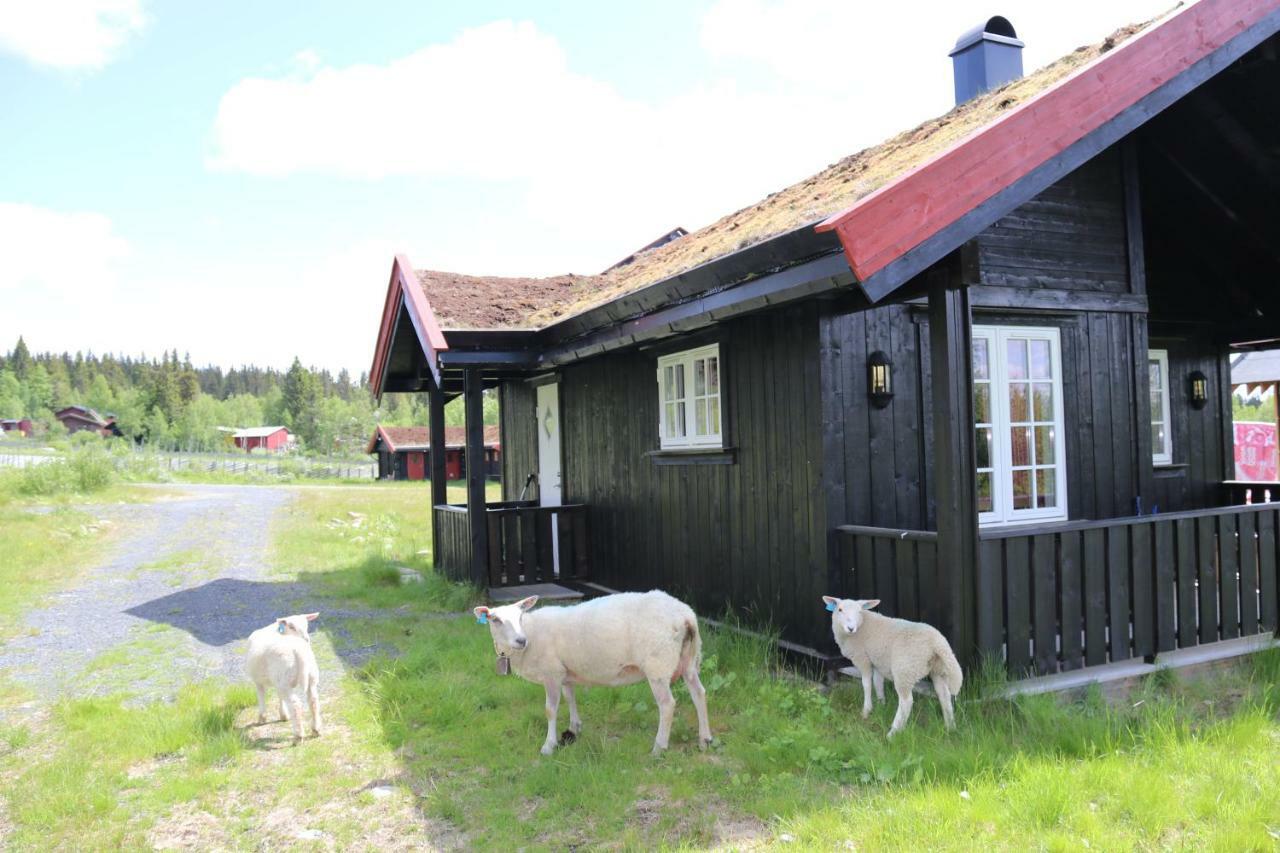 Gamlestolen Fjellstue Villa Etnedal Exteriör bild